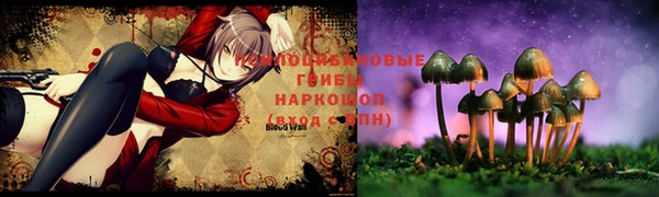 ECSTASY Алексеевка