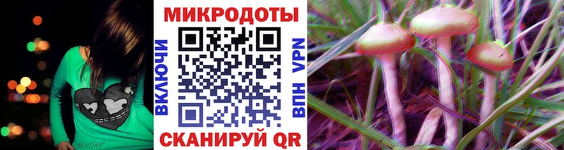 Псилоцибиновые грибы Cubensis  Купить  Торжок 