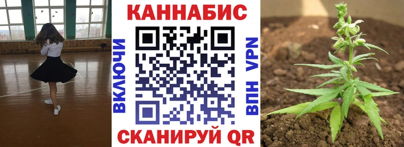 Купить где Торжок Каннабис план